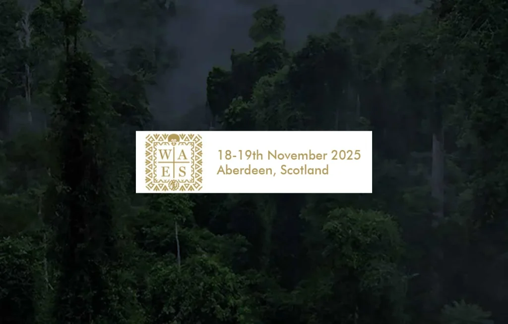 The Wider African Energy Summit 2025