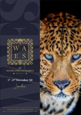 Wider African Energy Summit, WAES 2026 - Brochure Preview